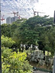 Fern Lodge (D14), Apartment #480518091